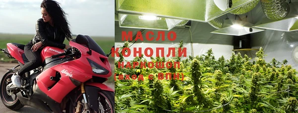 индика Осташков