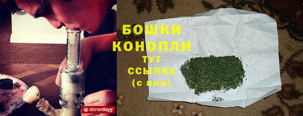стаф Осинники